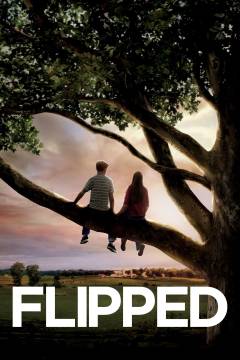 Film (dvd), 2011