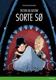 Sorte sø
