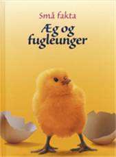 Æg og fugleunger