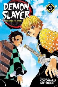 Demon slayer : Kimetsu no Yaiba. Volume 3