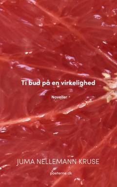 Ti bud på en virkelighed : noveller