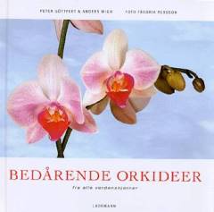 Bedårende orkideer fra alle verdenshjørner