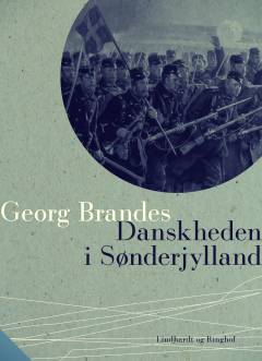 Danskheden i Sønderjylland