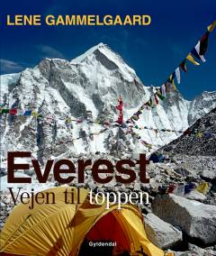 Everest - vejen til toppen