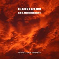 Ildstorm : støjrockdigte