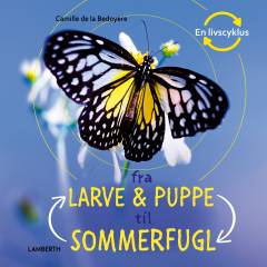 Fra larve & puppe til sommerfugl