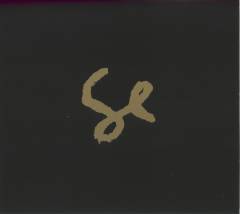 Sylvan Esso