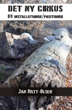 Det ny cirkus : 89 installationer, positioner