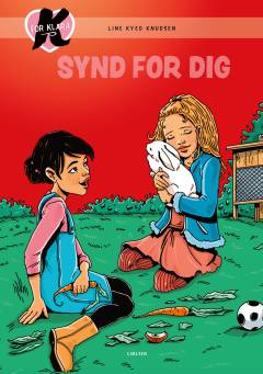 Synd for dig
