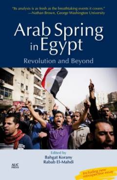 Arab spring in Egypt : revolution and beyond