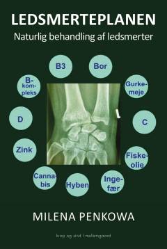 Ledsmerteplanen : naturlig behandling af ledsmerter