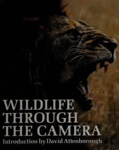 Wildlife through the camera