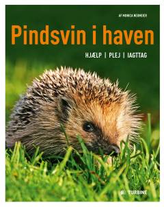 Pindsvin i haven : hjælp, plej, iagttag