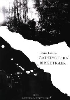 Gadelygter - birketræer : digte