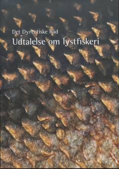 Udtalelse om lystfiskeri