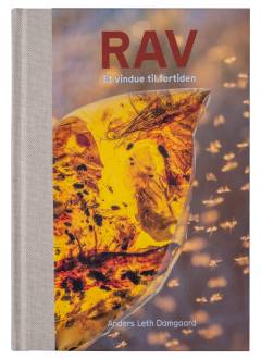 Rav : et vindue til fortiden