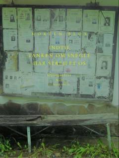 Indtil tanken om snegle har strejfet os