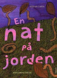En nat på jorden