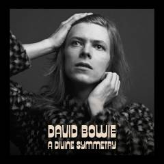 A divine symmetry : the journey to Honky dory