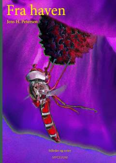 Fra haven : billeder & noter