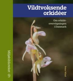 Vildtvoksende orkidéer : om orkidéovervågningen i Danmark