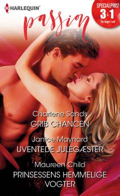 Grib chancen: Uventede julegæster: Prinsessens hemmelige vogter