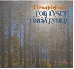 Før lyset forsvinder