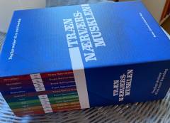 Træn nærværsmusklen : daglige øvelser til en travl hverdag. Bind 10 : Oktober