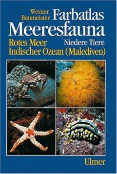 Farbatlas Meeresfauna : Rotes Meer, Indischer Ozean (Maldivien). 1. Band : Niedere Tiere : 392 Arten in Wort und Bild