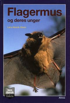 Flagermus og deres unger