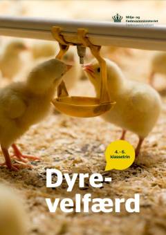 Dyrevelfærd : 4.-6. klassetrin