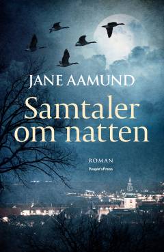 Samtaler om natten : erindringsroman