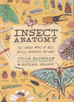 Insect anatomy : the curious world of bees, beetles, butterflies, and bugs