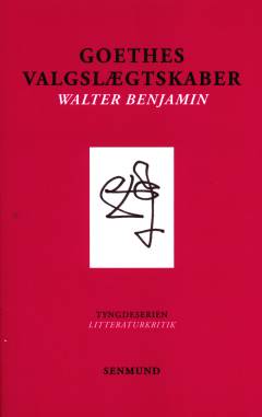 Goethes valgslægtskaber : litteraturkritik
