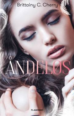 Bog, 1. udgave, 2017