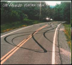 Electric trim