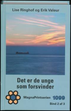 Det er de unge som forsvinder. Bind 2 (Stor skrift)