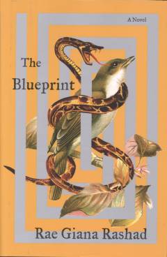 The blueprint : a novel