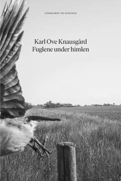 Bog, 1. udgave, 2019