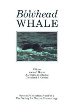 The bowhead whale