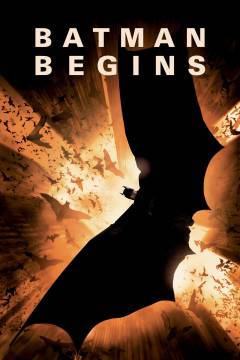Batman begins