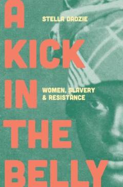 A kick in the belly : women, slavery and resistance