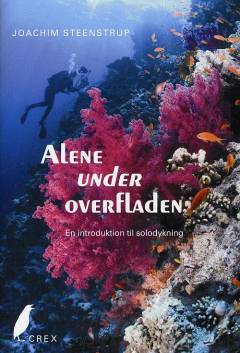 Alene under overfladen : en introduktion til solodykning
