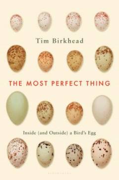 The most perfect thing : inside (and outside) a bird's egg