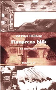 Flanørens blik : en essayroman