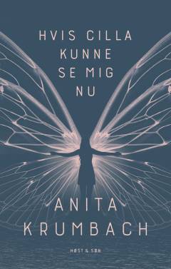 Hvis Cilla kunne se mig nu