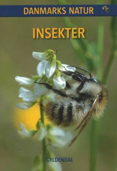 Insekter