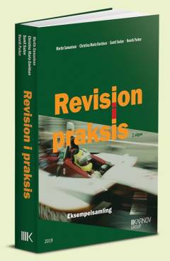 Revision i praksis : planlægning, udførelse, konklusion -- Eksempelsamling