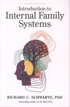 Introduction to internal family systems