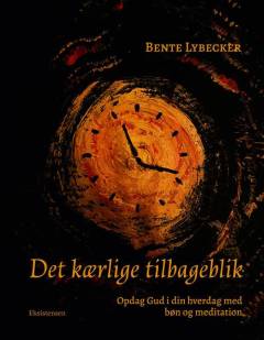 Det kærlige tilbageblik : opdag Gud i din hverdag med bøn og meditation